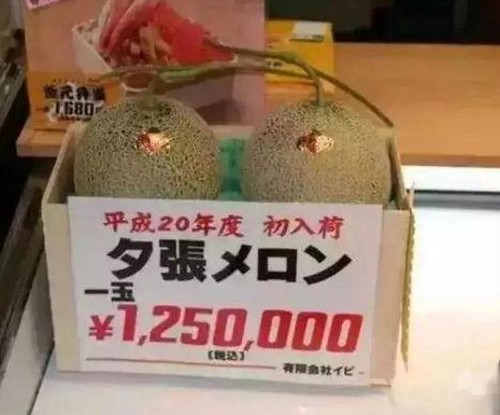 娱乐八卦揭秘：赵小瞒导与吃瓜视频热潮解析