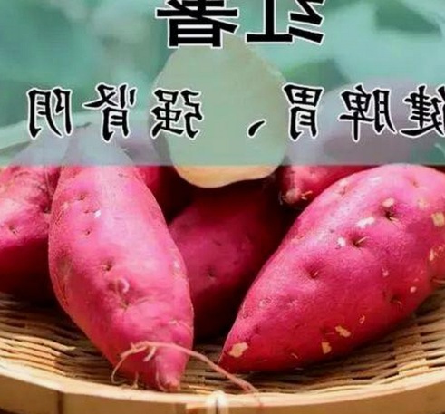 娱乐圈吃瓜现状：从幕后揭秘到舆论风暴的多维观察